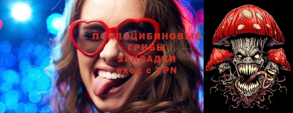 ПСИЛОЦИБИНОВЫЕ ГРИБЫ Сафоново