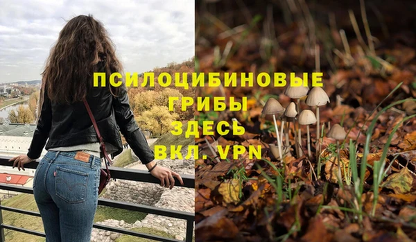 амф Саяногорск