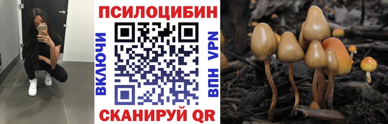 кракен рабочий сайт  Иннополис  Псилоцибиновые грибы мицелий 